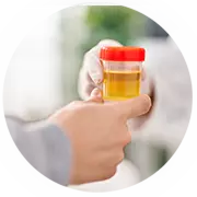 Dépistage de drogue et alcool Dépistage de drogue et alcool à la Clinique de Prélèvements NR – Sainte-Marie, Beauce